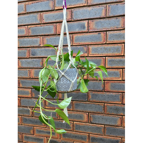 Send On Rope Core Hanging Planter